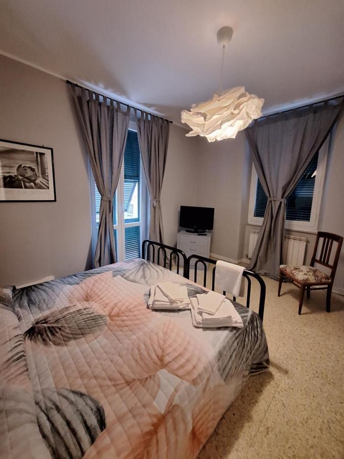 Nest Rest Apartment